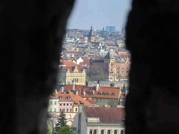 Types Van Praag Zonnige Dag Lente — Stockfoto