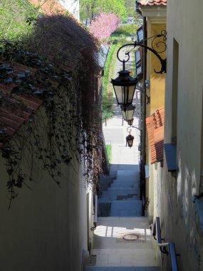 güneşli bir günde Varşova türleri