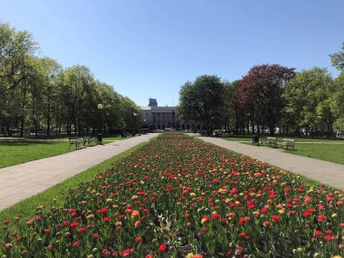 güneşli bir günde Varşova türleri
