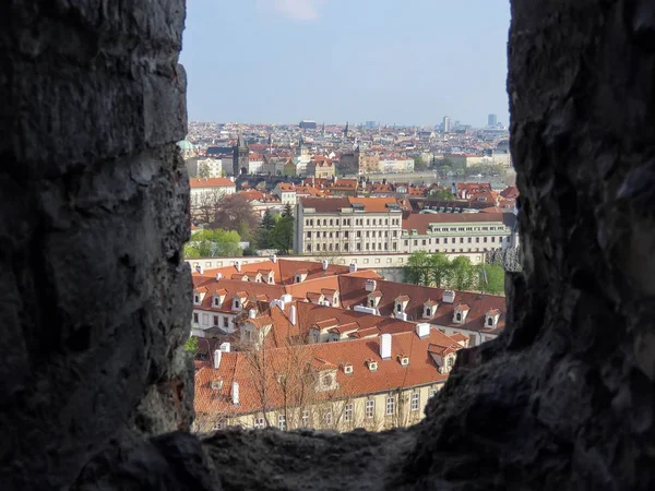 Types Van Praag Zonnige Dag Lente — Stockfoto