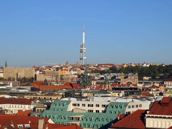 Rodzaje Pragi Słoneczny Dzień Wiosnę — Zdjęcie stockowe