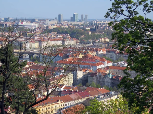 Rodzaje Pragi Słoneczny Dzień Wiosnę — Zdjęcie stockowe