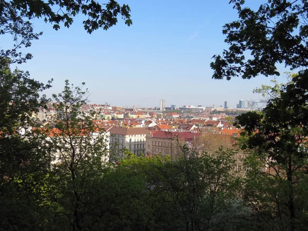 Types Prague Sunny Day Spring — Stock Photo, Image