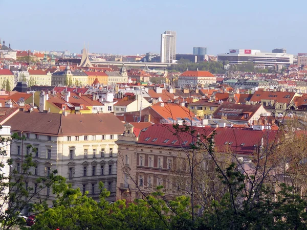 Bahar Güneşli Bir Gün Prag Türleri — Stok fotoğraf