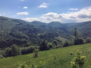 Araba penceresinden görünümü