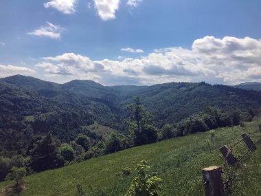 Araba penceresinden görünümü