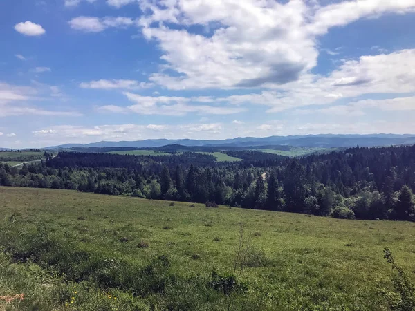 Araba penceresinden görünümü