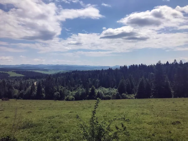 Araba penceresinden görünümü