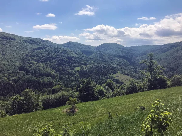 Araba penceresinden görünümü