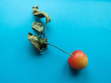 Kırmızı Kiraz, güzel bir mavi masaya yalan