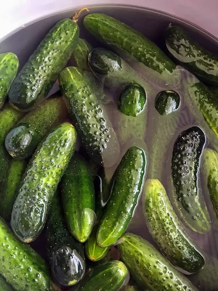 Green Cucumbers Become Wet Water Salting — Stock Photo, Image