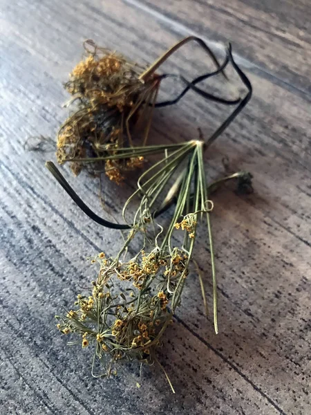 Dry Twigs Dill Lies Table — Stock Photo, Image