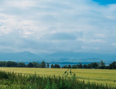 Yaz aylarında buğday alanı ve Mavi Dağlar