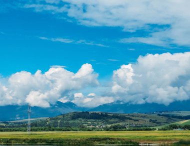 Buğday alanı ve Mavi Dağlar