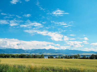 Buğday alanı ve Mavi Dağlar