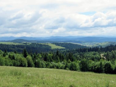 Karpatlar, dağlarda yaz peyzaj