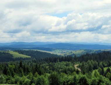 Karpatlar, dağlarda yaz peyzaj