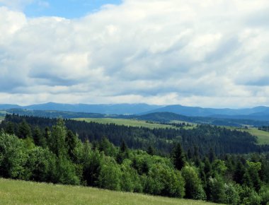 Karpatlar, dağlarda yaz peyzaj