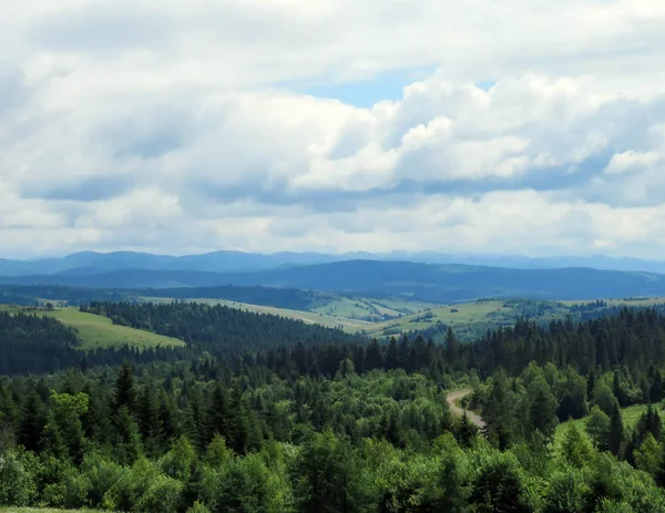 Karpatlar, dağlarda yaz peyzaj