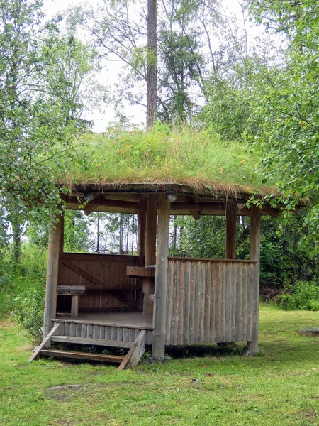 Yağmurdan sonra Yeşil taze orman