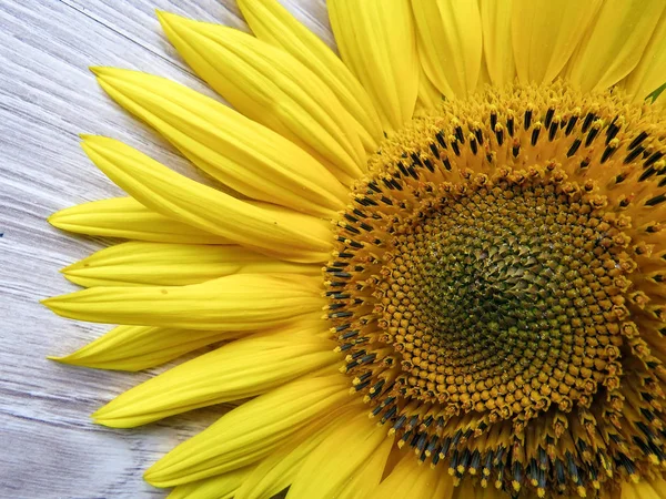 Die Gelben Sonnenblumen Auf Einem Hölzernen Hintergrund — Stockfoto