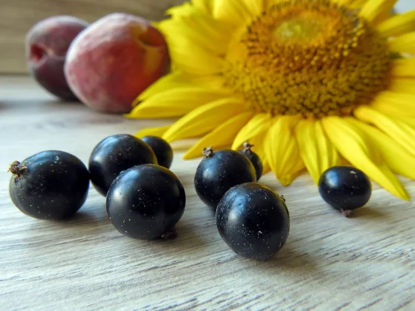 Vinbär Och Persikor Med Sol Rosor Bordet — Stockfoto