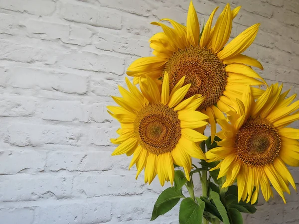 Der Strauß Sonnenblumen Einer Vase Der Küche — Stockfoto