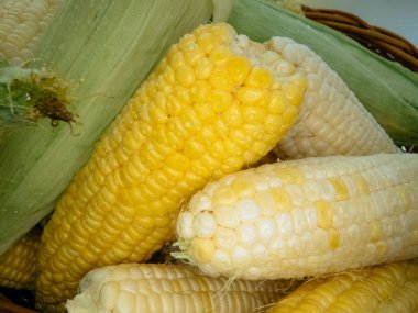 Olgun doğal Mısır koçanı. sağlıklı beslenme. çevre dostu ürünler. Organik gıda. Stil Top görünümü Grup nesneleri