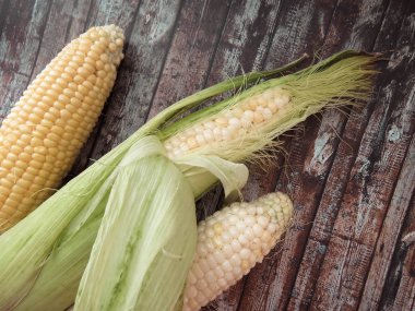 Olgun doğal Mısır koçanı. sağlıklı beslenme. çevre dostu ürünler. Organik gıda. Stil Top görünümü Grup nesneleri