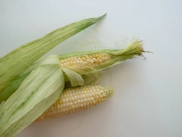 Reife Natürliche Maiskolben Gesunde Ernährung Umweltfreundliche Produkte Bio Lebensmittel Stil — Stockfoto