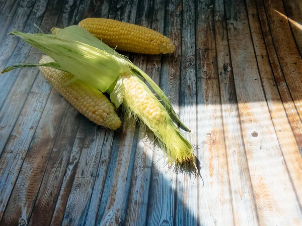 Ripe Natural Corn Cobs Healthy Eating Eco Friendly Products Organic — Stock Photo, Image