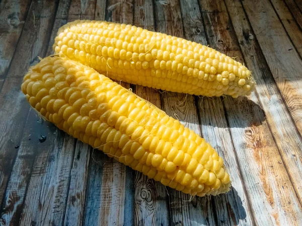 Reife Natürliche Maiskolben Gesunde Ernährung Umweltfreundliche Produkte Bio Lebensmittel Stil — Stockfoto