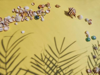 Tatil, tatil tropikal plaj yukarıda - palmiye ağacı yaprakları. deniz kabuklarını. Stil Top görünümü Grup nesneleri