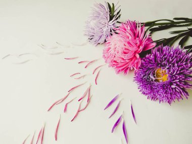 Bir çerçeve oluşturma en az kavramı, bir arka plan üzerinde renkli aster çiçek üst görüntülemek, senin metin dağınık yaprakları Grup nesneleri için kopya alanı