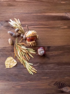 Eski ahşap masa üzerinde olgunlaşmış kestane ile kopya alanı kapatın. sonbahar arka plan kopya alanı. nesne grubunu. Stil üstten görünüm
