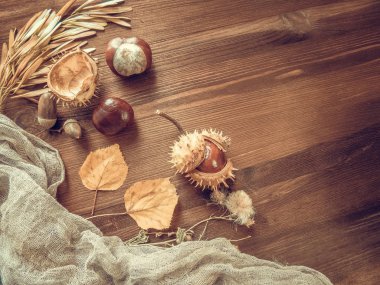 Eski ahşap masa üzerinde olgunlaşmış kestane ile kopya alanı kapatın. sonbahar arka plan kopya alanı. nesne grubunu. Stil üstten görünüm