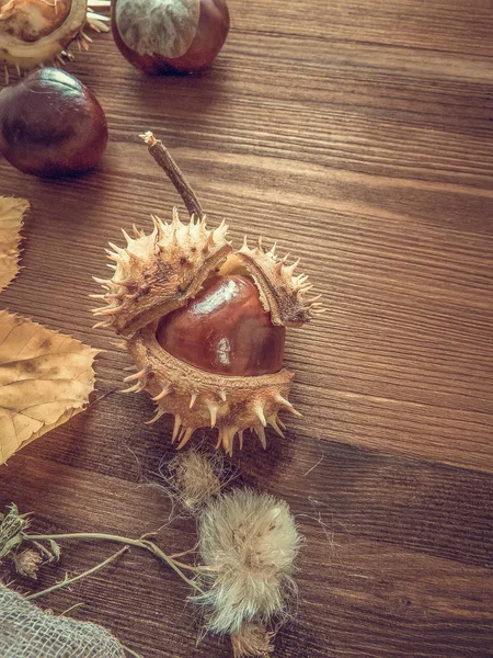 Ripe Chestnuts Old Wooden Table Close Copy Space Autumn Background — Stock Photo, Image