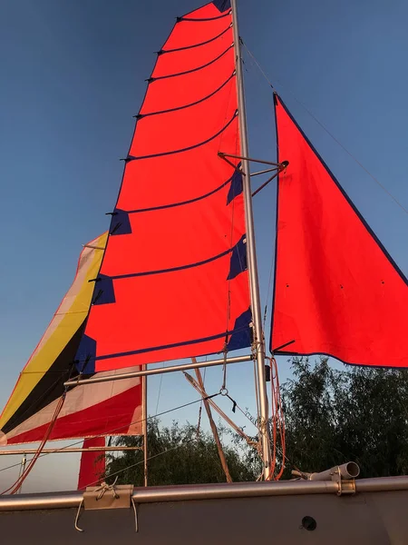 Scarlet Sails Sailboat Summer Morning River Summer Background Nature Style — Stock Photo, Image