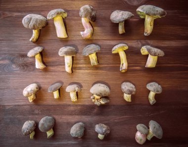 Arka plan ağaç ve taze çekilmiş Lehçe mantar üstten görünüm ahşap arka plan üzerinde mantar