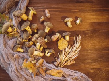 Arka plan ağaç ve taze çekilmiş Lehçe mantar üstten görünüm ahşap arka plan üzerinde mantar