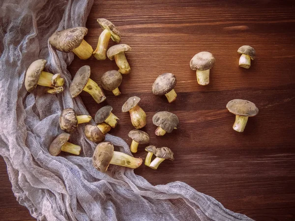 Background Wood Freshly Picked Polish Mushrooms Top View Mushrooms Wooden — Stock Photo, Image