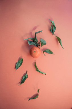 Banner 2019 - canlı mercan renk. Mandarin yeşil yaprakları ile. Metin için yer. Eko kavramı. Taze mandalina üzerinde arka plan rengini yılın 2019 yaşayan mercan renk.