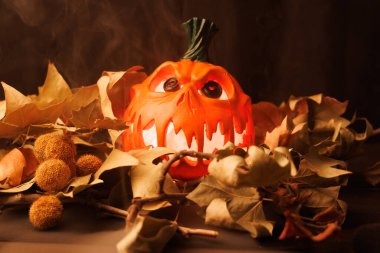 Karanlık arka planda sisli ve kuru yapraklı tüyler ürpertici parlayan balkabağı..