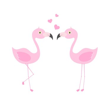 Pembe flamingo çift aşık. Egzotik güzel kuşlar.