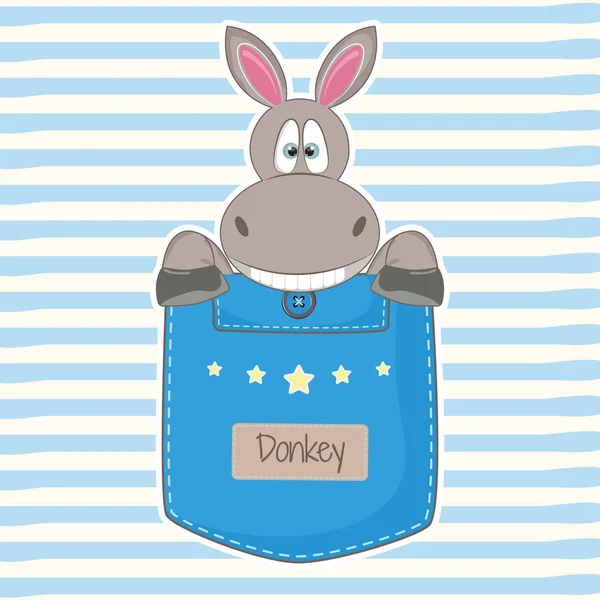 Cute donkey sitting in a pocket and smiling fun. — Stock Vector