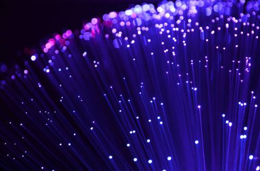 purple colored fiber optic abstract background on black. clipart