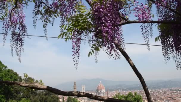 Kathedrale Von Santa Maria Del Fiore Florenz Vom Bardini Garten — Stockvideo