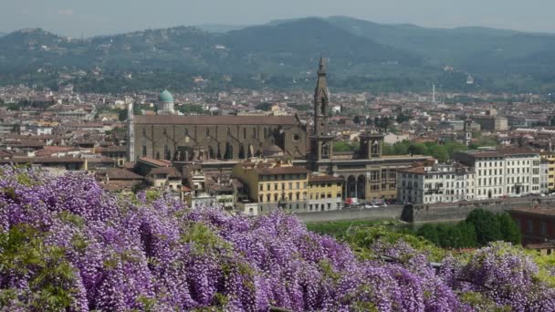 Abril 2018 Bela Vista Basílica Santa Croce Florença Vista Famoso — Vídeo de Stock