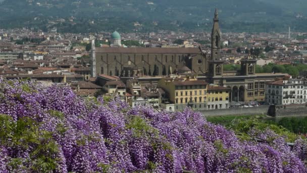 Abril 2018 Bela Vista Basílica Santa Croce Florença Vista Famoso — Vídeo de Stock