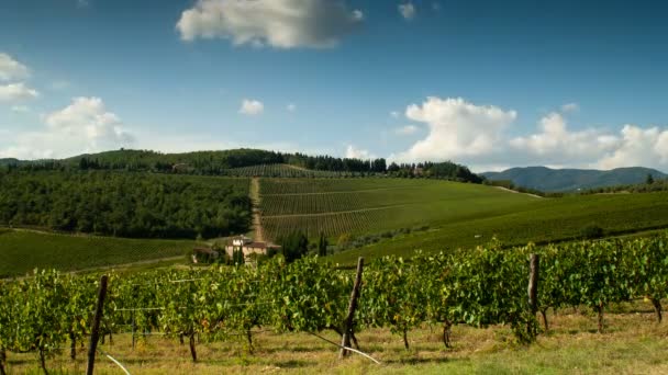 Rangées de vignobles verts dans la région du Chianti par une journée ensoleillée. Saison estivale, Toscane. Timelapse. Vidéo 4K UHD, Nikon D300 
